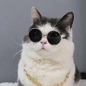 Meet your Posher, Pearl